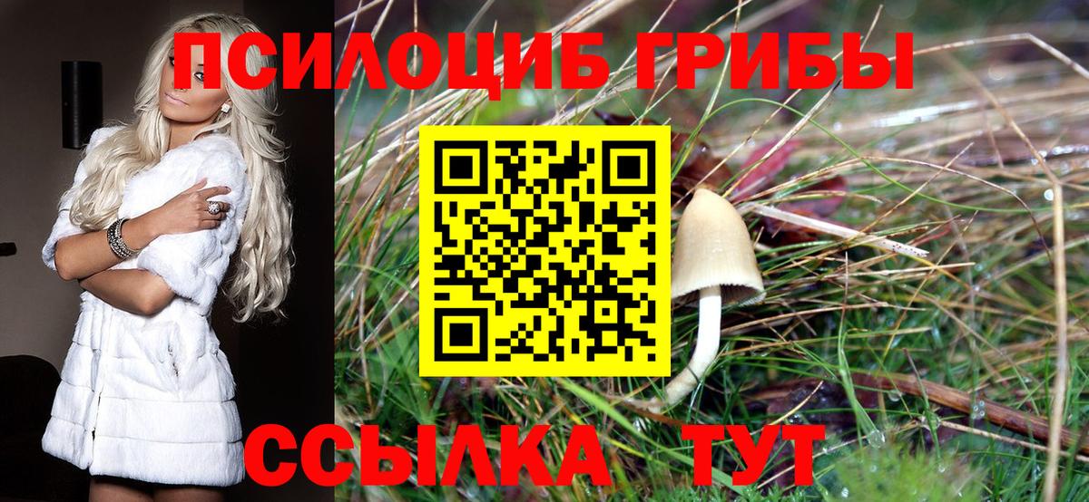 Галлюциногенные грибы MAGIC MUSHROOMS Каменка