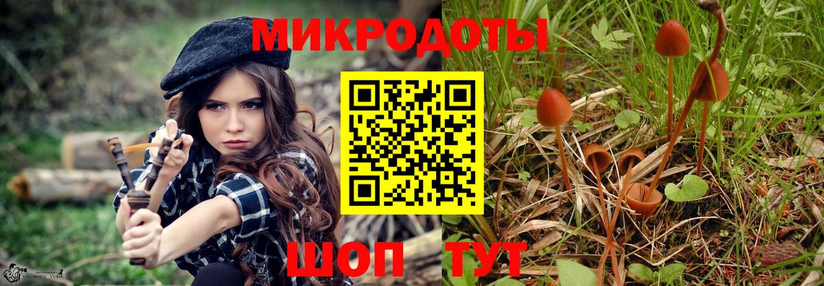 Галлюциногенные грибы мухоморы  Галлюциногенные грибы ЛСД  Каменка  Вход с VPN 